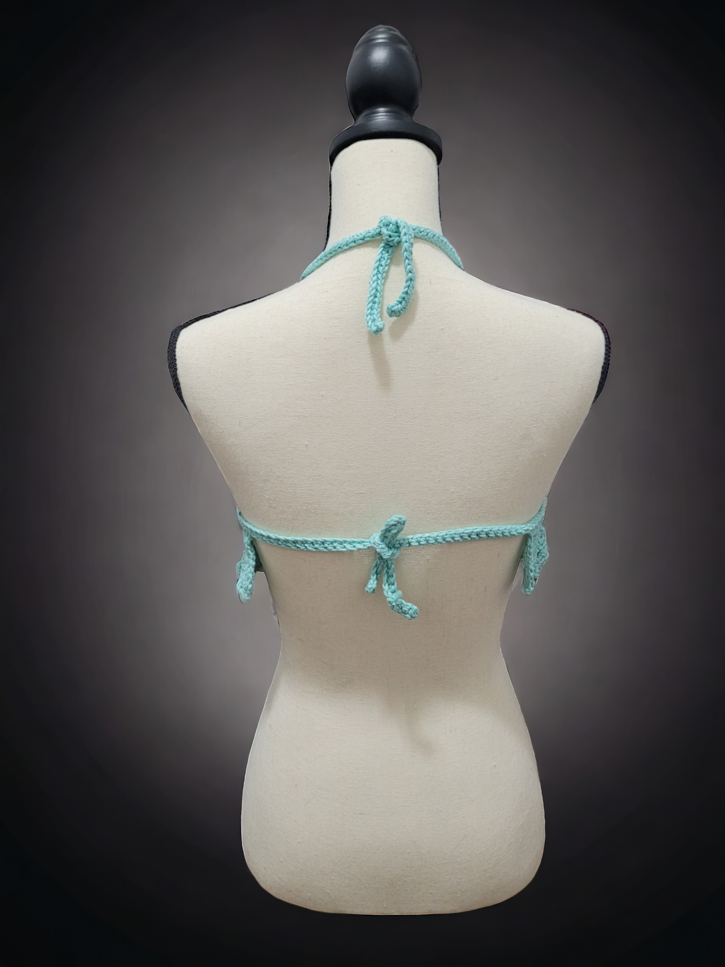 Powder Blue Bikini Crop Top