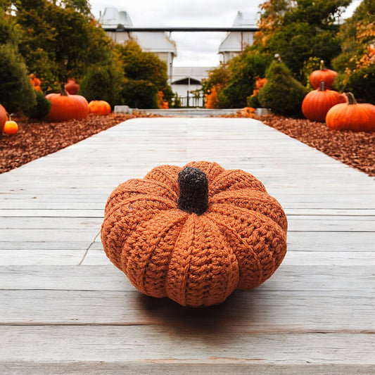 Pumpkin Decor